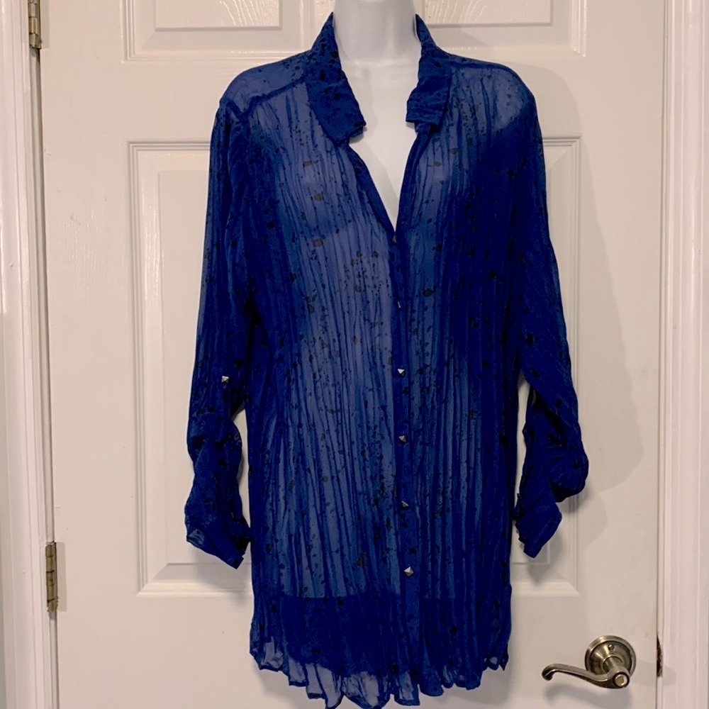 Blue Rock & Republic Sheer Blouse